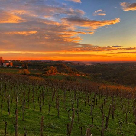 Peterc Vineyard Estate Panzió Kojsko Kültér fotó