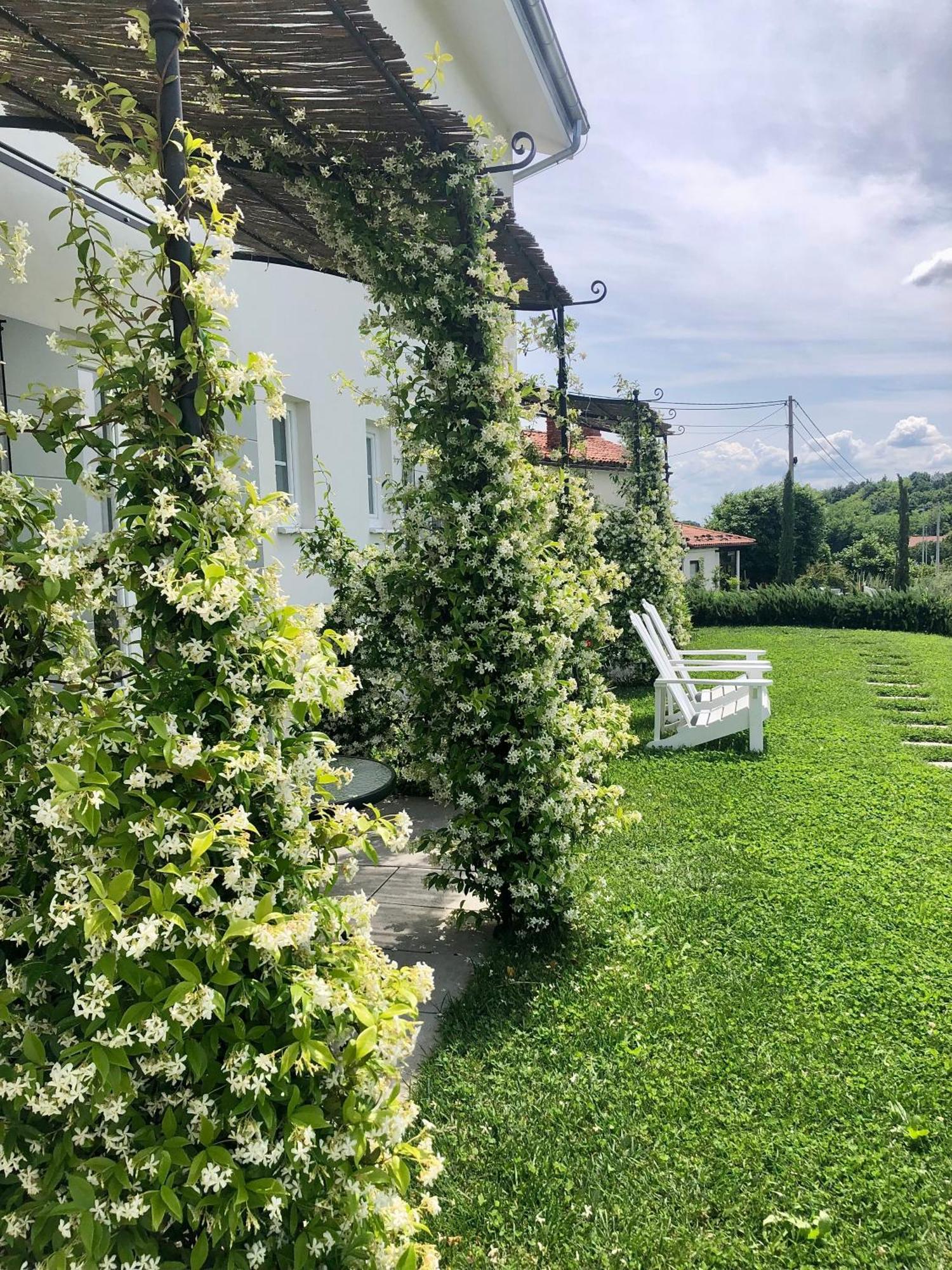 Peterc Vineyard Estate Panzió Kojsko Kültér fotó